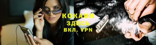 индика Алексеевка